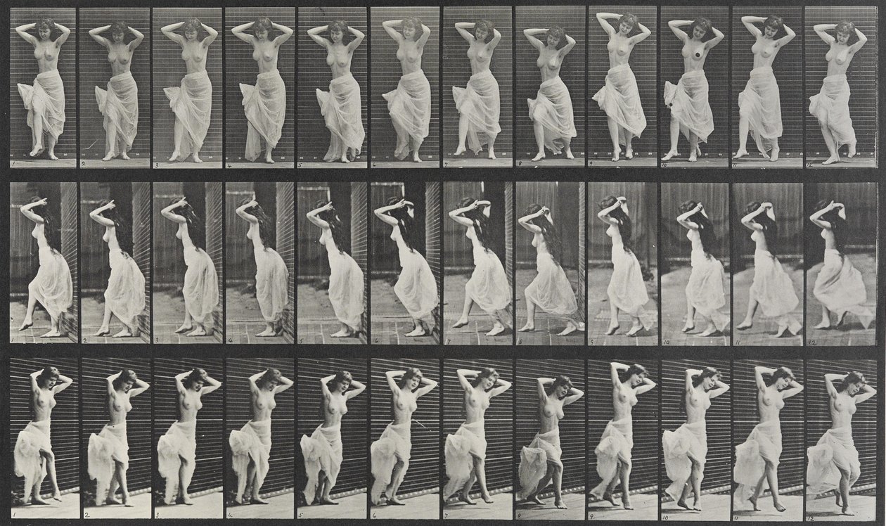 Dierenlocomotie plaat 190 door Eadweard Muybridge