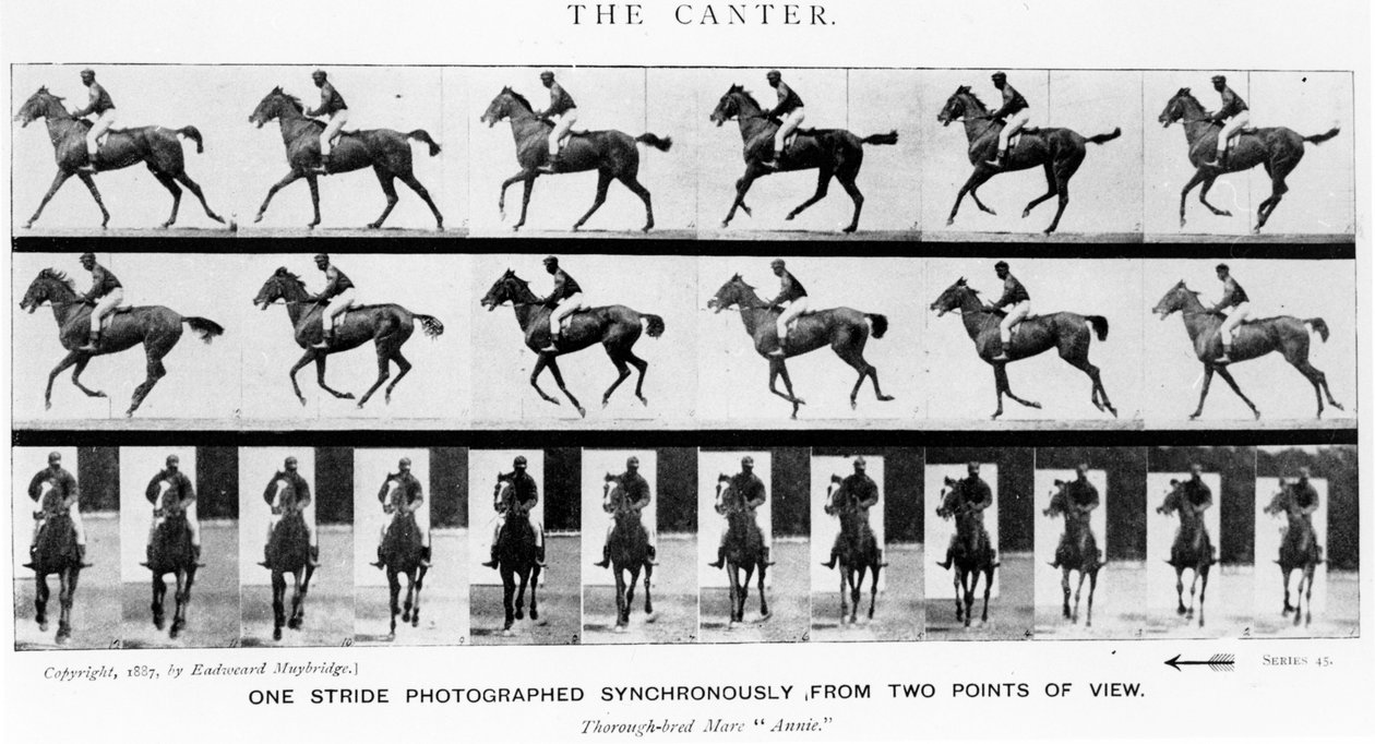 De Canter: Eén Stap Fotograaf Gelijktijdig vanuit Twee Standpunten, 1887, illustratie uit 
