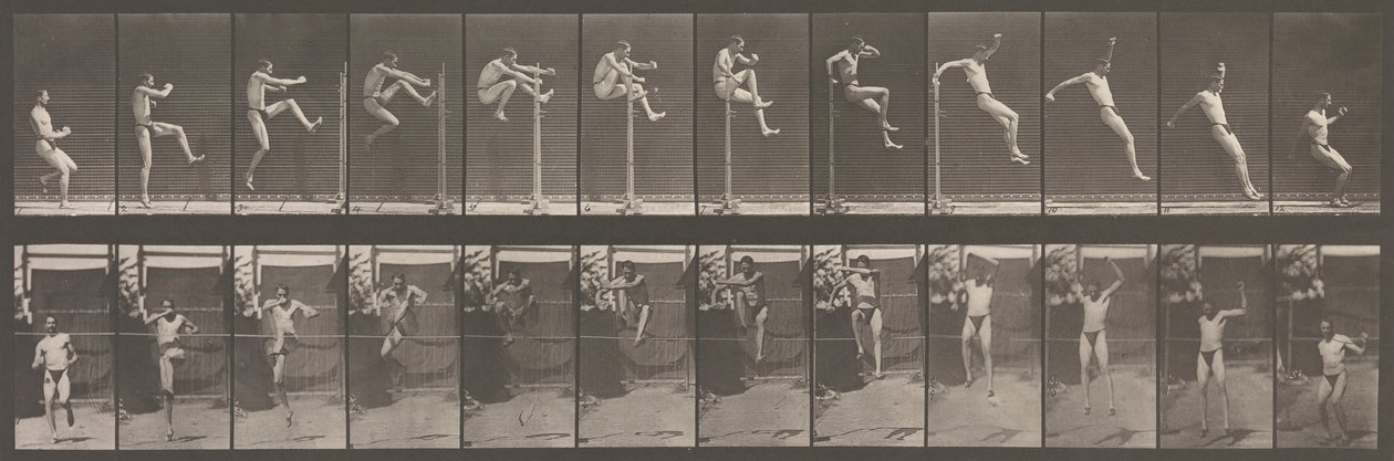 Dierlijke Locomotie. Een Elektro-Fotografisch Onderzoek van Opeenvolgende Fasen van Dierlijke..., 1880s. door Eadweard Muybridge