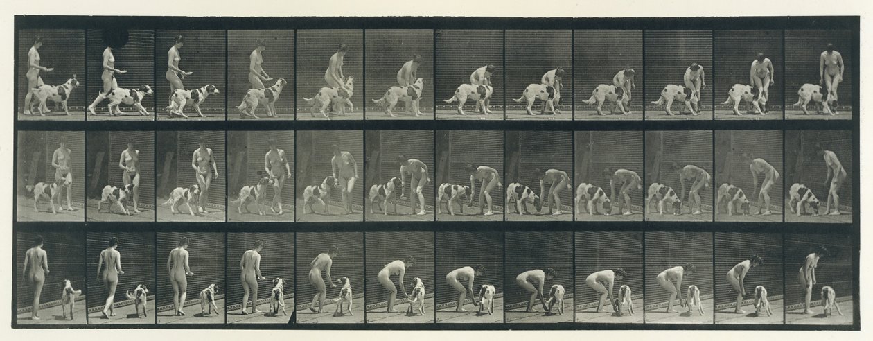 Dierlijke voortbeweging. Een elektro-fotografisch onderzoek naar opeenvolgende fasen van dieren door Eadweard Muybridge