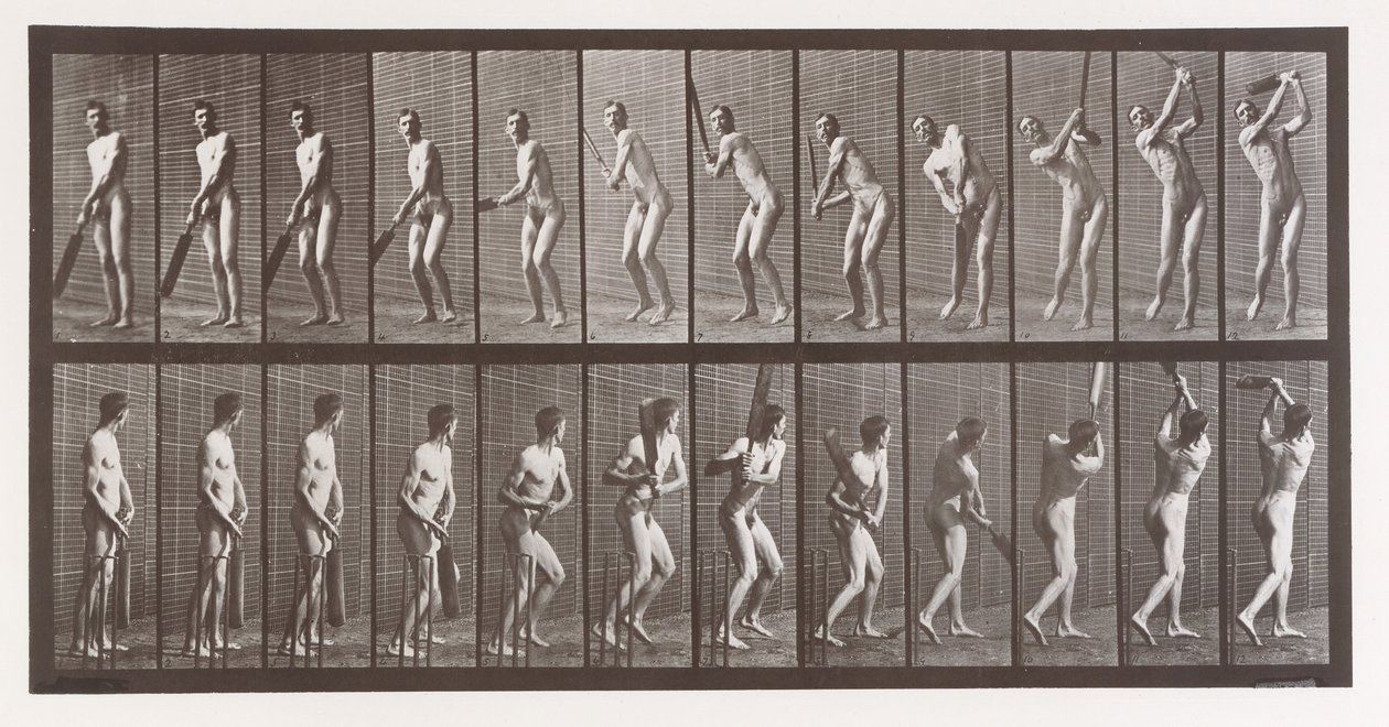 Dierlocomotie. Een elektro-fotografisch onderzoek naar opeenvolgende fasen van dier..., 1880s door Eadweard Muybridge