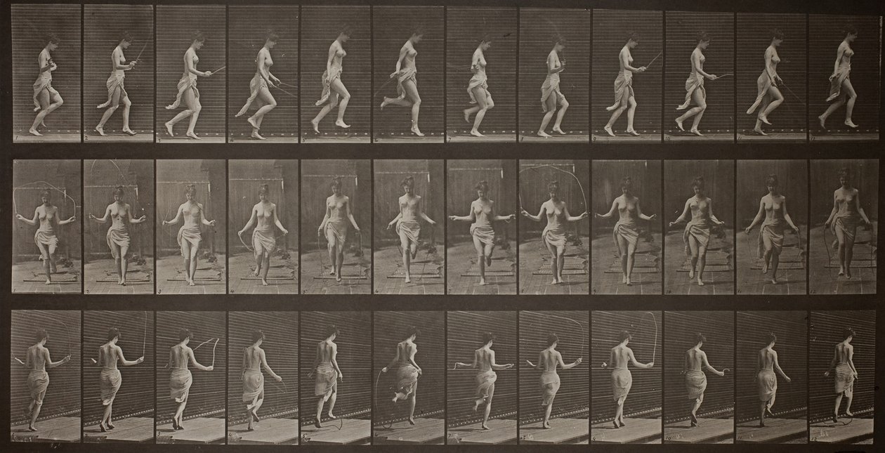 Dierenlocomotie, Plaat 174, 1887 door Eadweard Muybridge