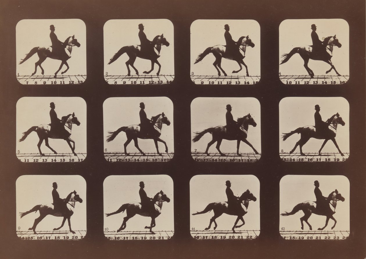 Houdingen van dieren in beweging door Eadweard Muybridge