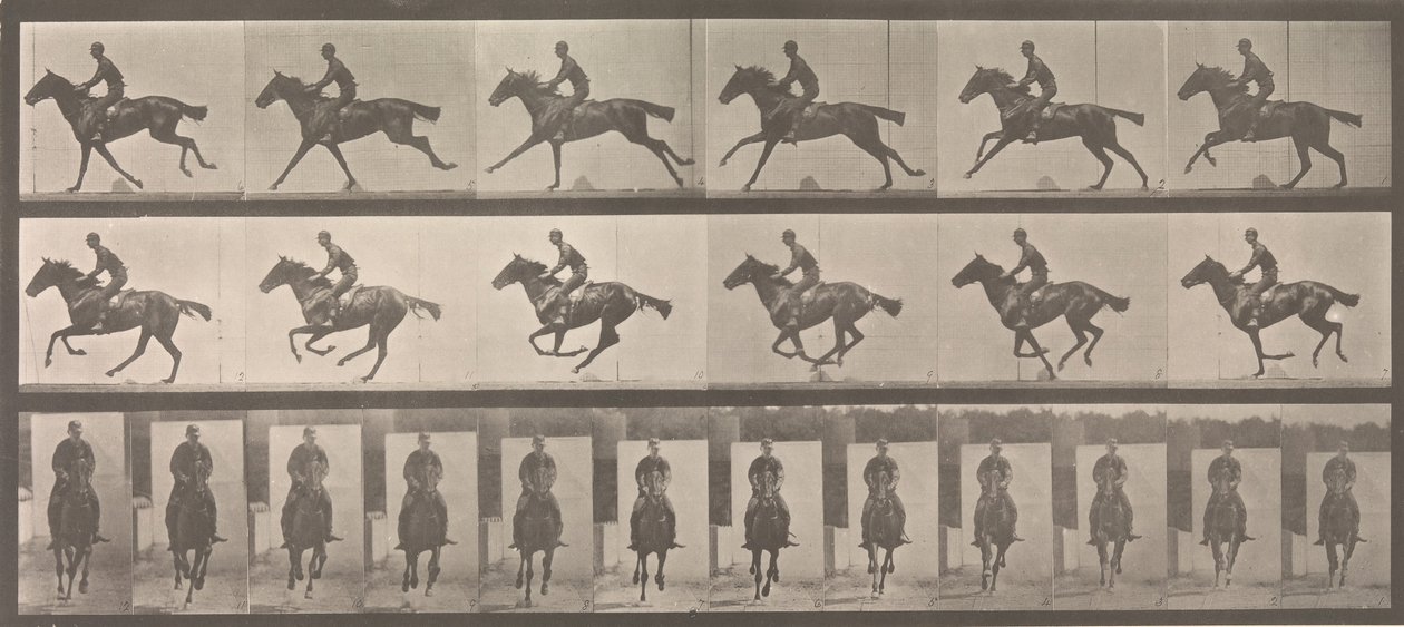 Paard en ruiter galopperen door Eadweard Muybridge