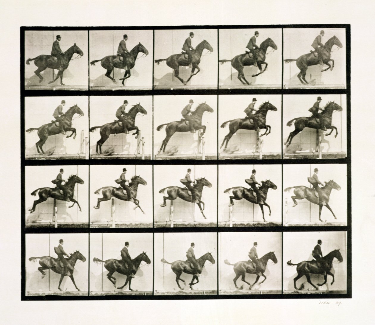 Man en paard springen over een hek, 1887 door Eadweard Muybridge