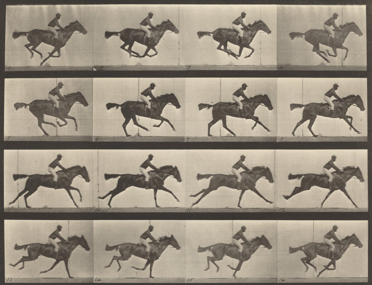 Plaat Nummer 626. Gallop, volbloed bruine merrie, Annie G., 1887 door Eadweard Muybridge