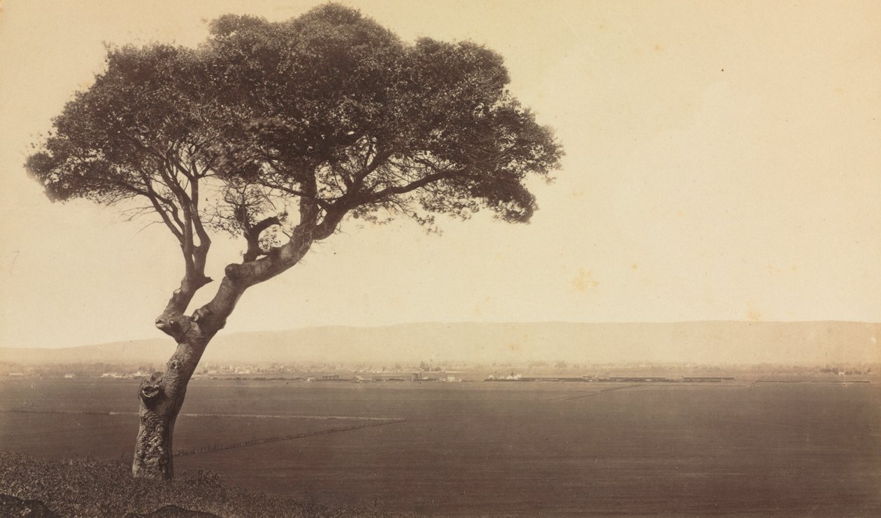 Naamloos landschap bij Watsonville, Californië, ca. 1879 door Eadweard Muybridge