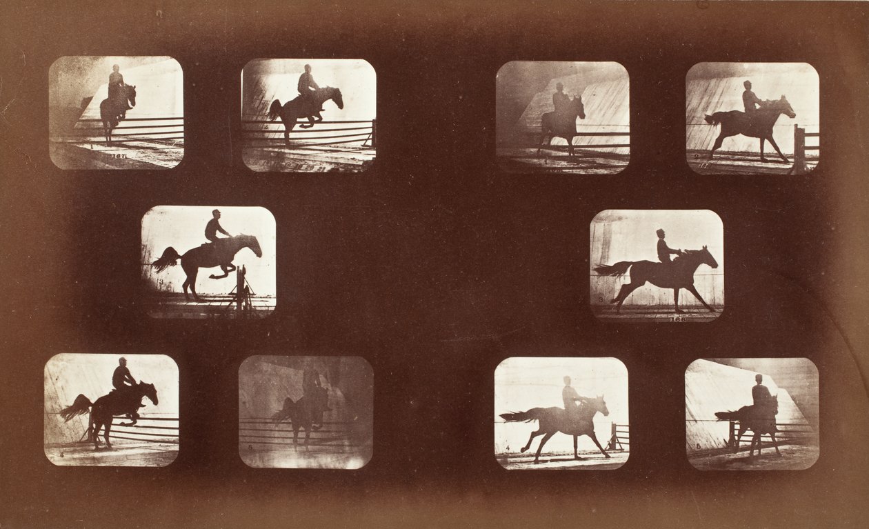 Dierlijke voortbeweging (man te paard over hindernissen) door Eadweard Muybridge