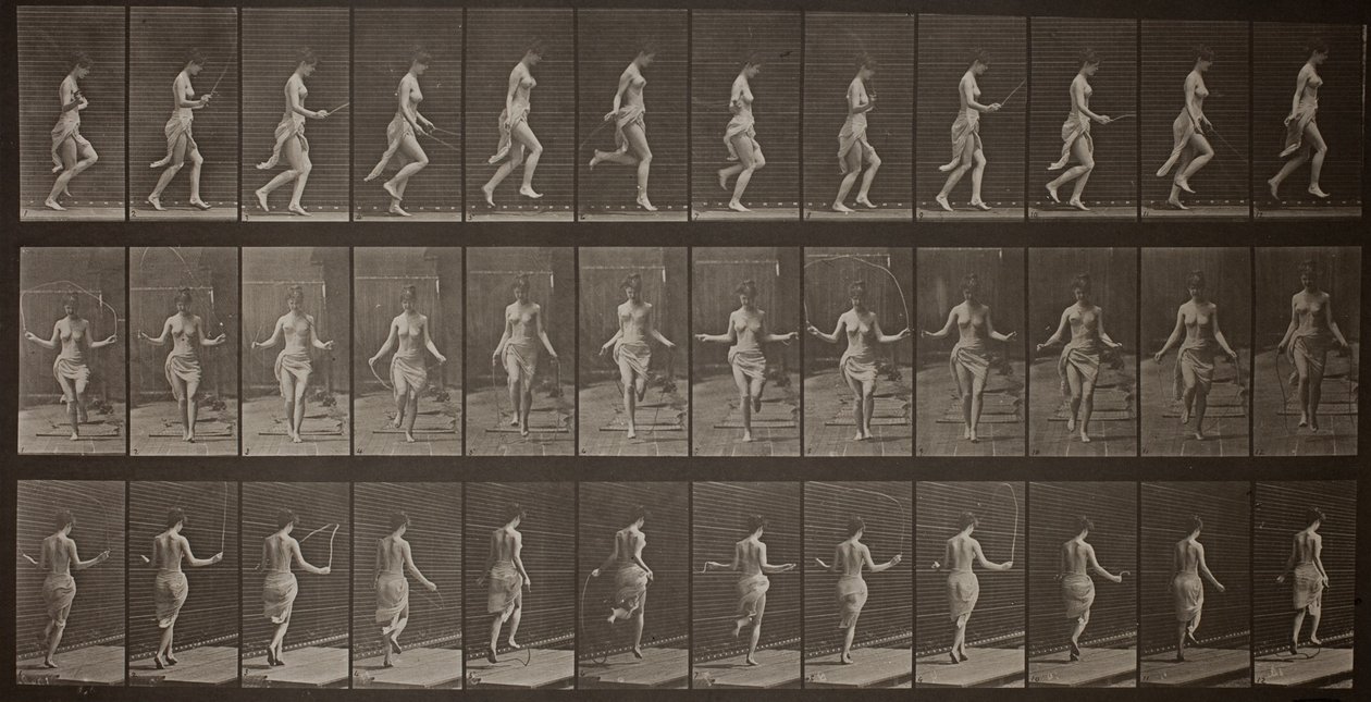 Voortbeweging van dieren, plaat 174 door Eadweard Muybridge