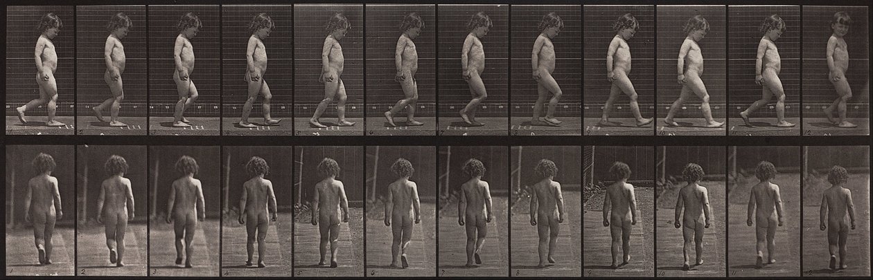Animal Locomotion, Plaat 467 door Eadweard Muybridge