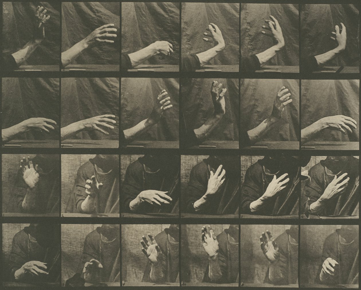 Voortbeweging van dieren, plaat 535 door Eadweard Muybridge
