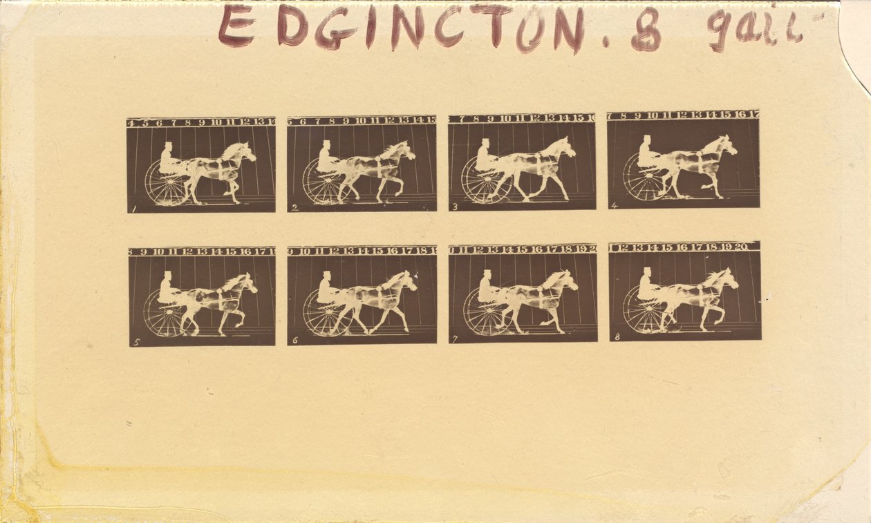 Internegatief voor Paarden. Draven. Abe Edgington. Nr. 28 door Eadweard Muybridge