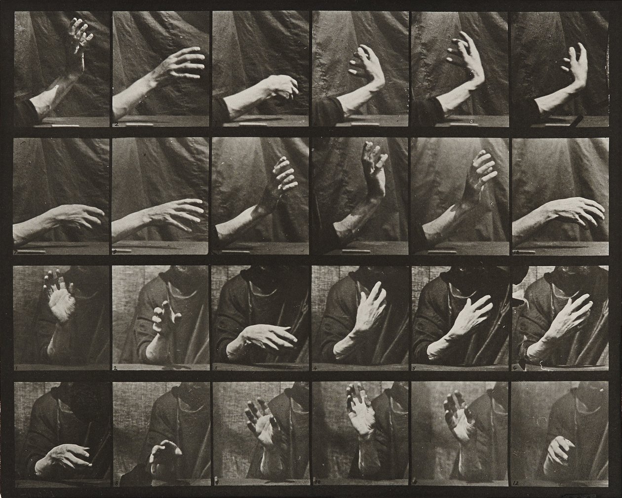 Beweging van de hand; de maat slaan door Eadweard Muybridge