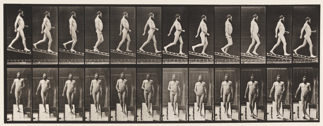 Hellend vlak afdalen, 1 op 4 door Eadweard Muybridge