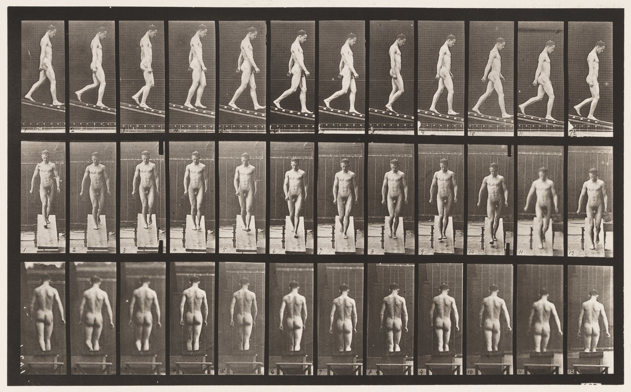 Plaat 114. Afdalen van helling, hoek 1 op 4, 1872-1885 door Eadweard Muybridge