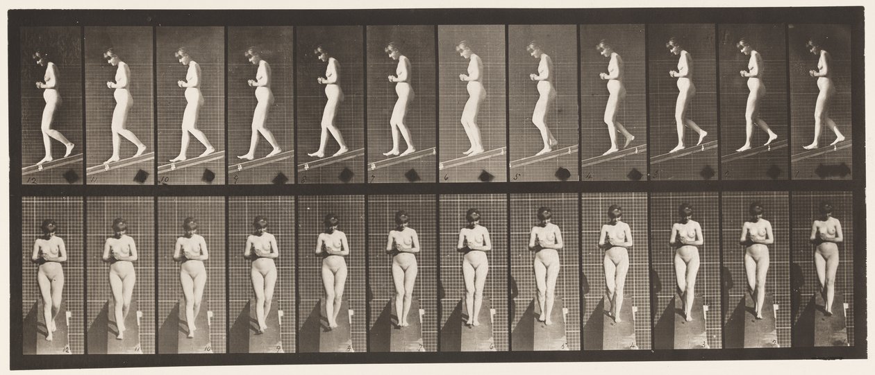 Plaat 115. Een helling afgaan met handen gevouwen vooraan door Eadweard Muybridge