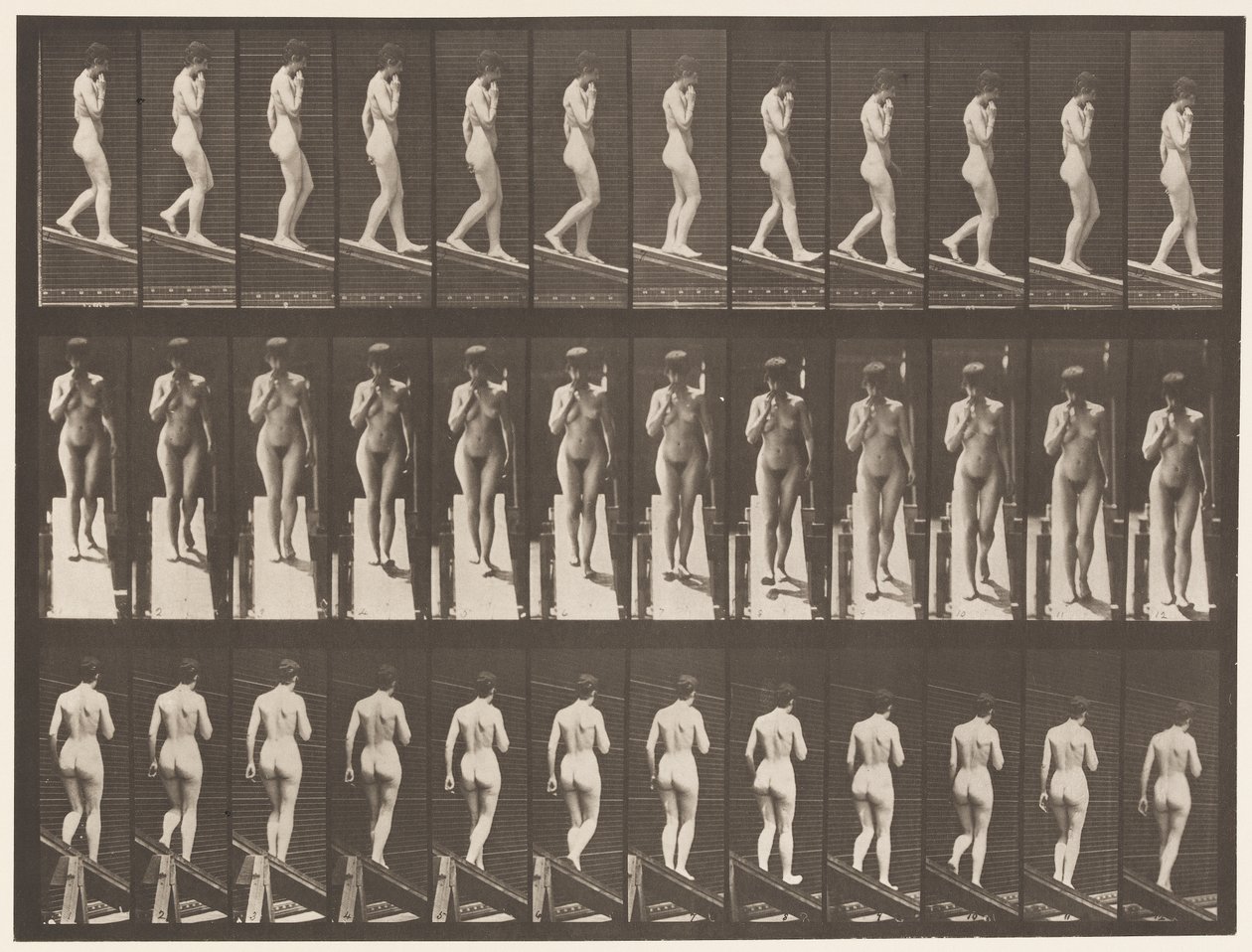 Plaat 116. Helling af, hand op kin door Eadweard Muybridge