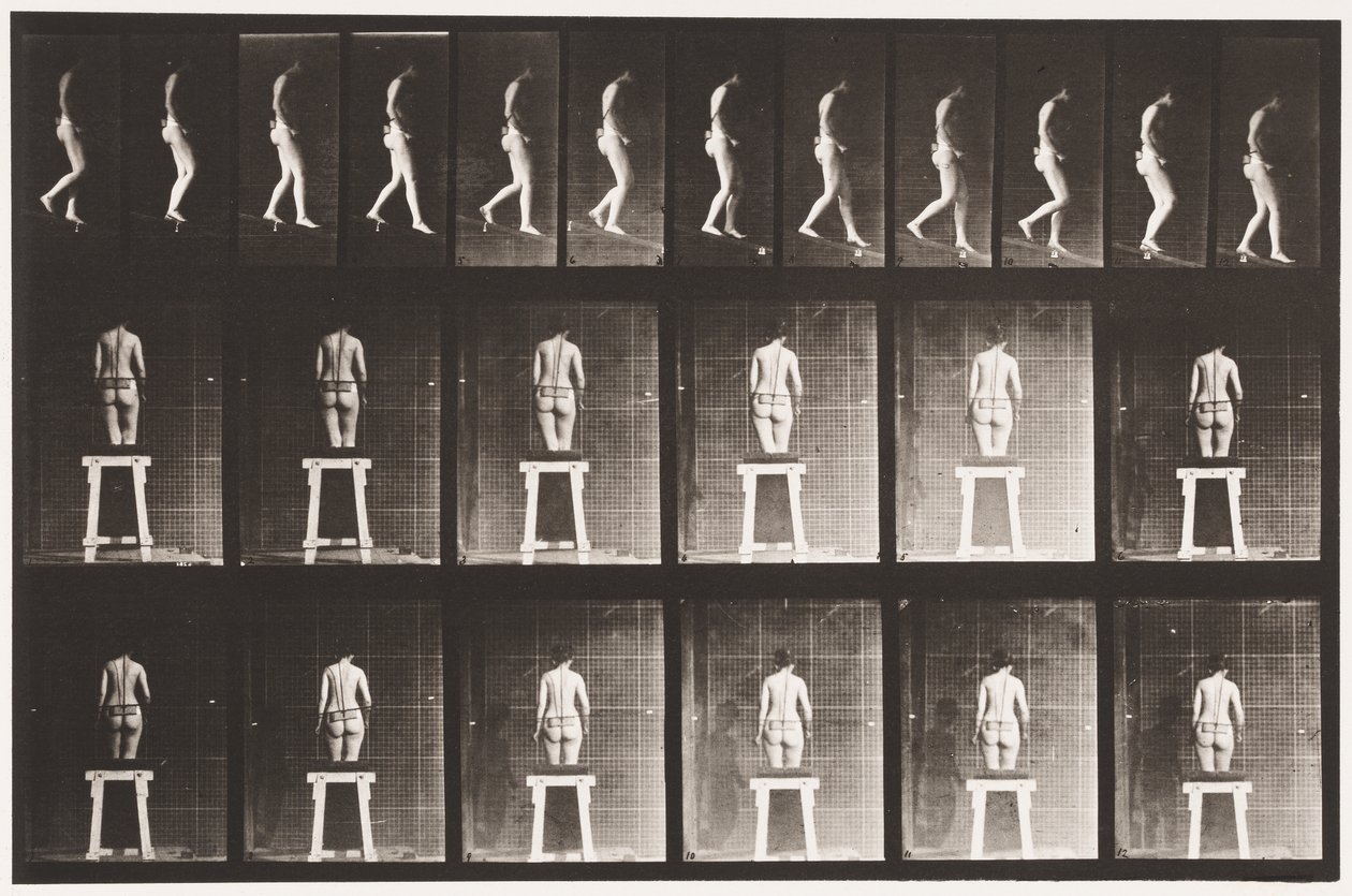 Plaat 118. Helling Afdalen door Eadweard Muybridge