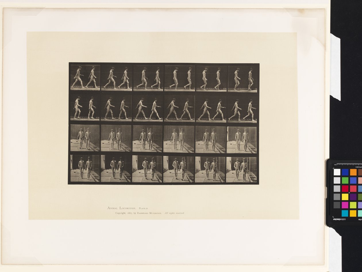 Plaat 12. Lopen door Eadweard Muybridge