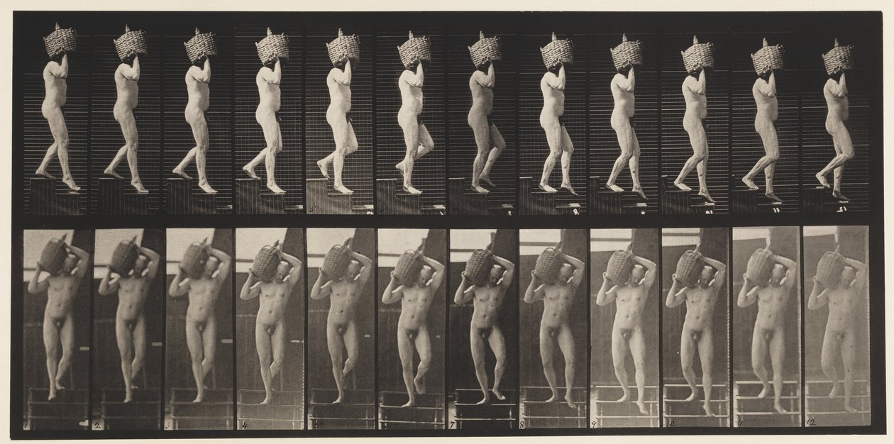 Trap Af Dalen Volle Demijohn op Schouder, 1872-1885 door Eadweard Muybridge