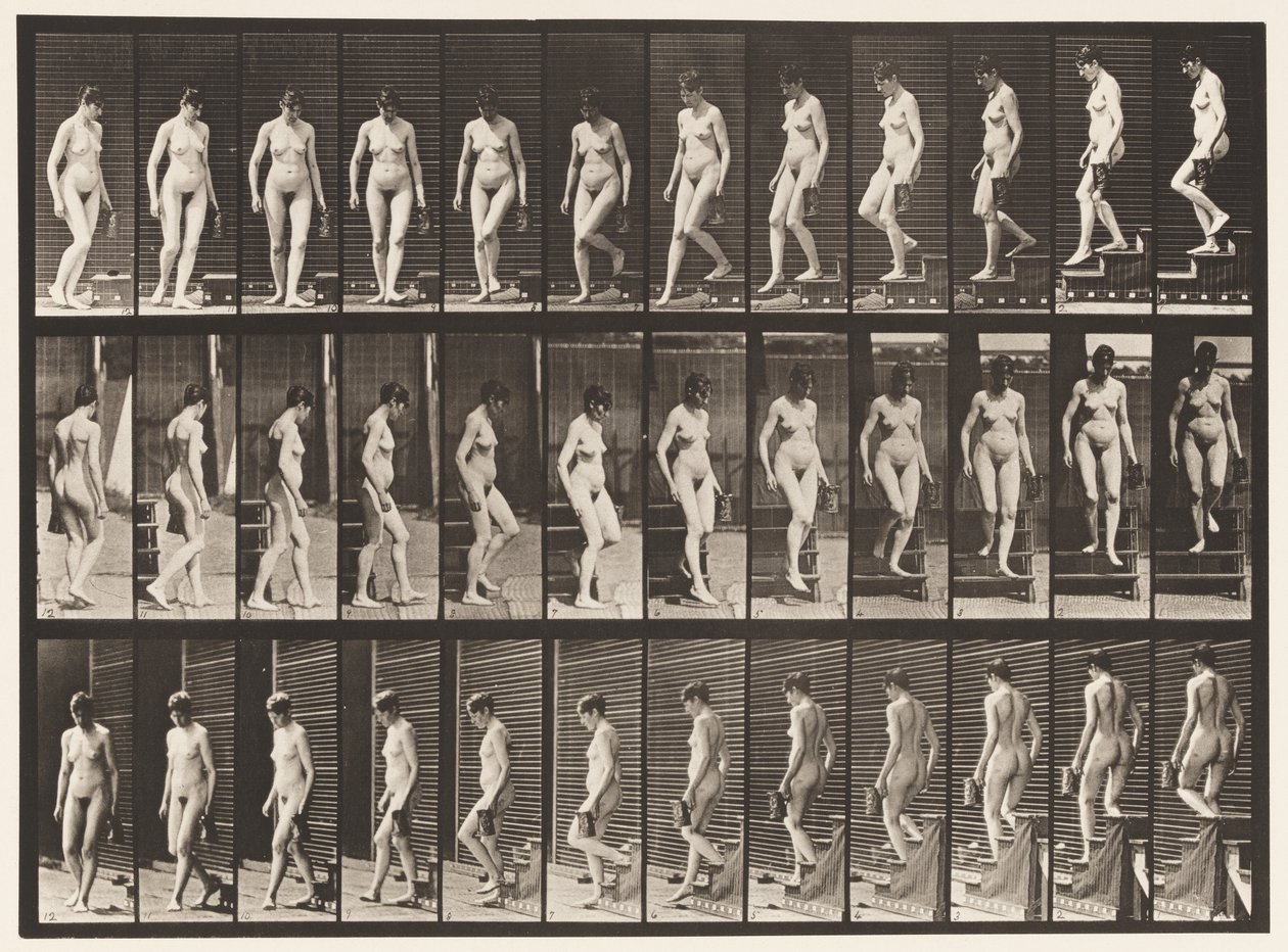 Plaat 138. Trap aflopen, omdraaien; Kruik in linkerhand door Eadweard Muybridge