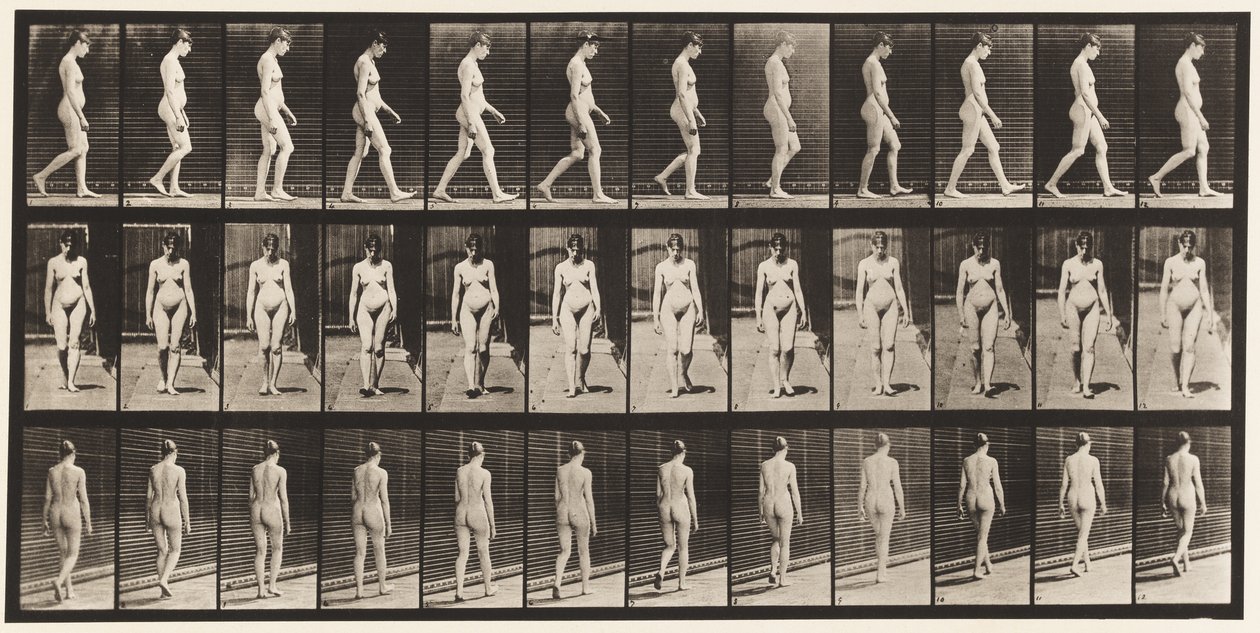 Plaat 13. Wandelen door Eadweard Muybridge
