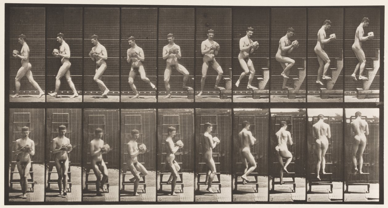 Plaat 151. Trapladder afdalen, omdraaien, steen in handen, 1872-1885 door Eadweard Muybridge