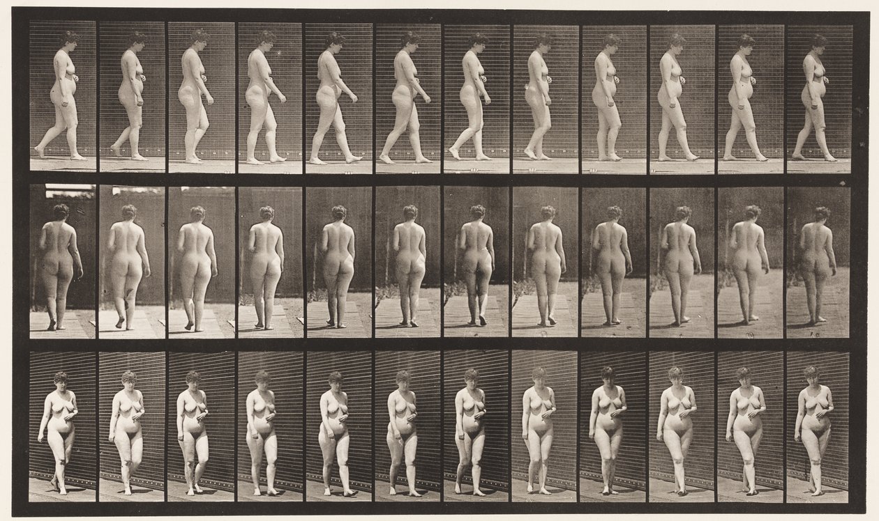 Plaat 18. Wandelen, linkerhand over buik, 1872-1885 door Eadweard Muybridge