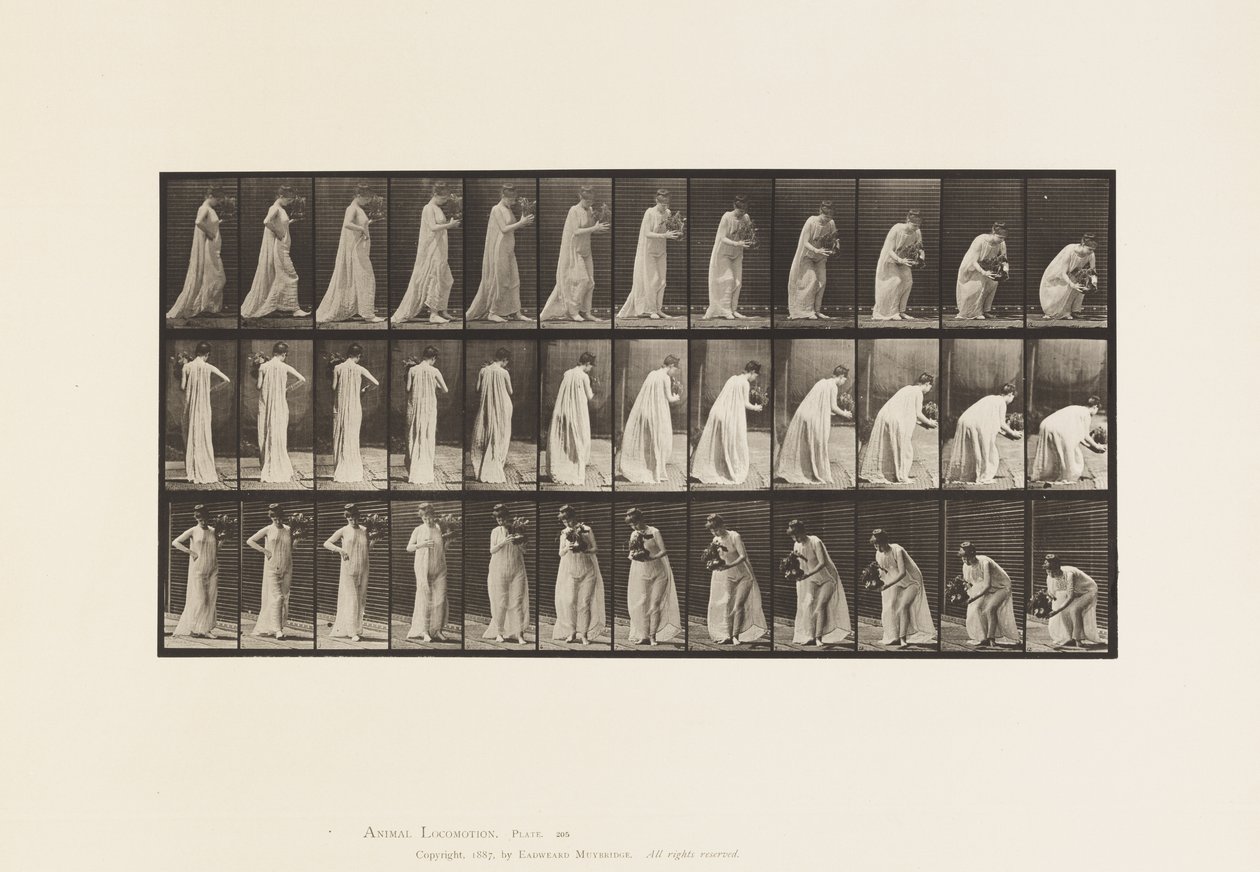 Plaat 205. Dragen en bukken met vaas, 1885 door Eadweard Muybridge