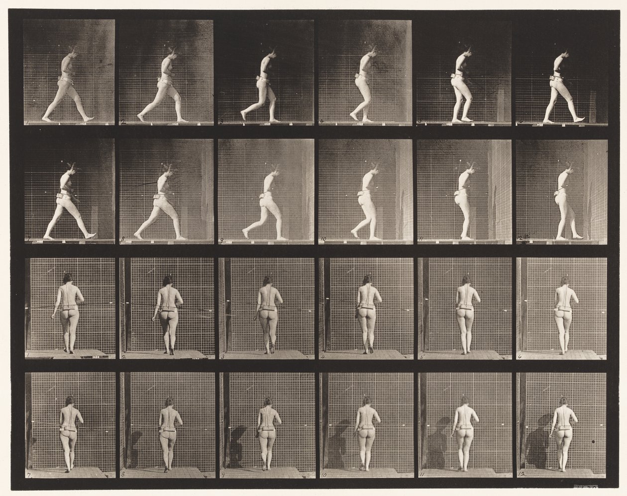 Plaat 20. Wandelen, rechter elleboog gebogen door Eadweard Muybridge