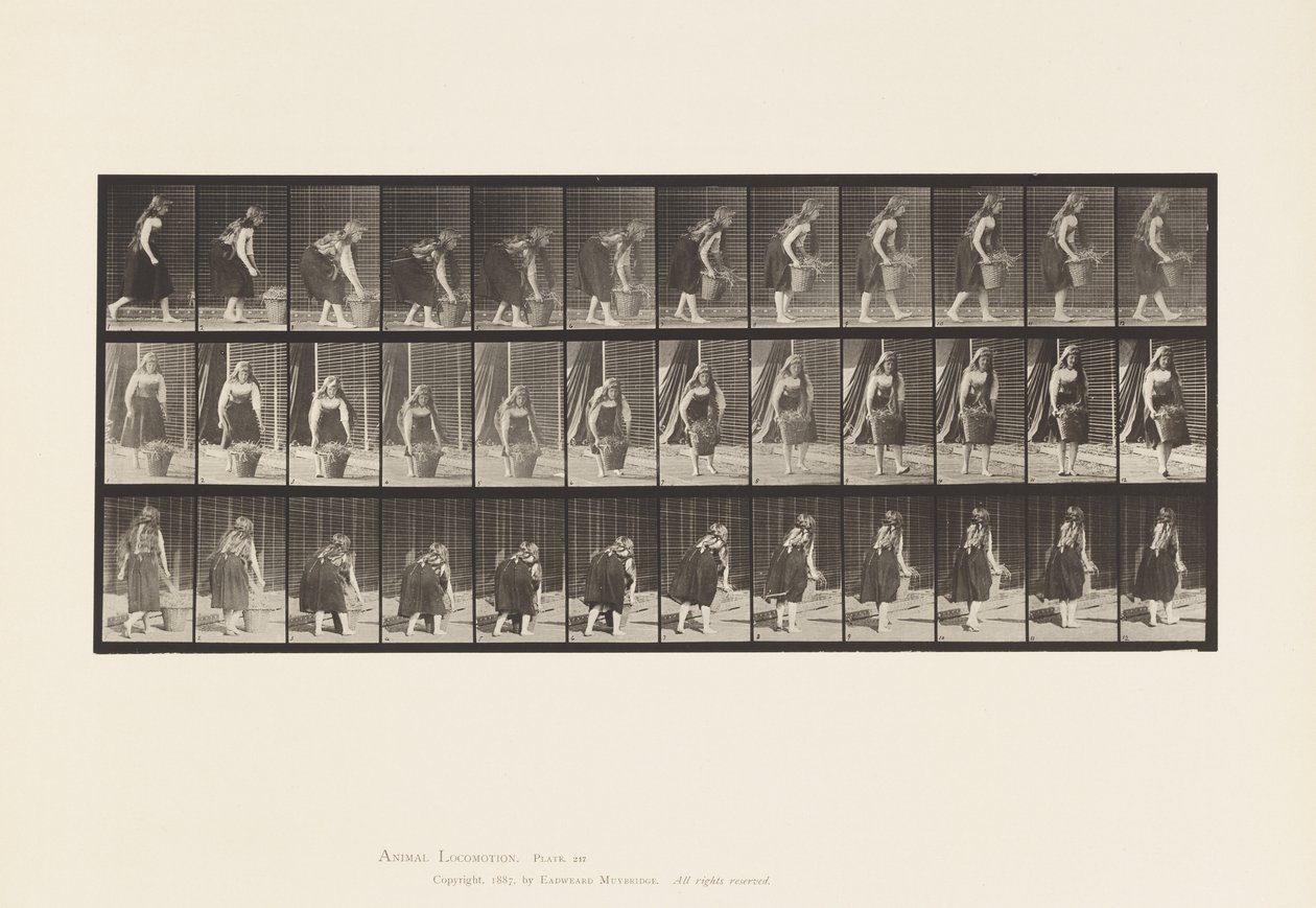 Bukking, Tillen en Dragen van 30 lb Mand, 1885 door Eadweard Muybridge