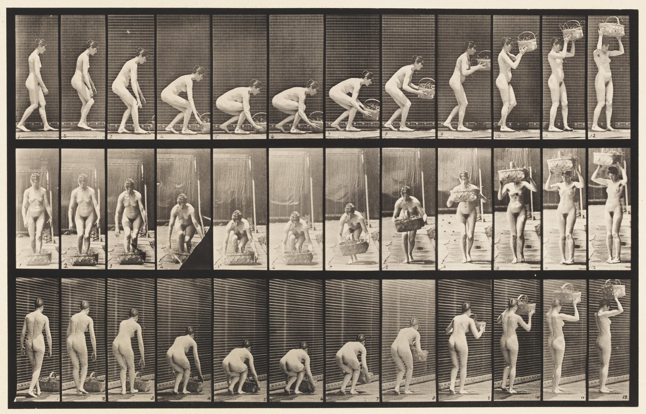 Plaat 221. Bukken en 12 lb Mand naar Hoofd Tillen door Eadweard Muybridge
