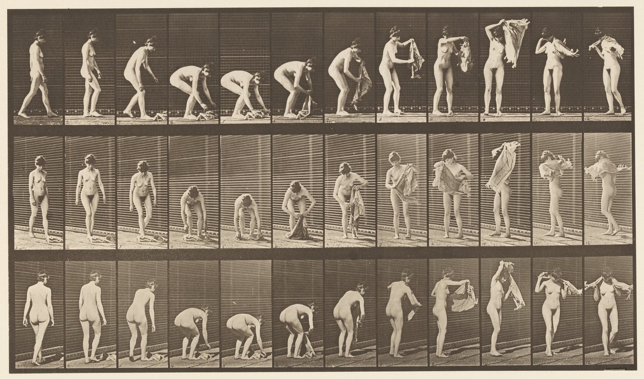 Plaat 227. Doek van de grond tillen, 1872-1885 door Eadweard Muybridge