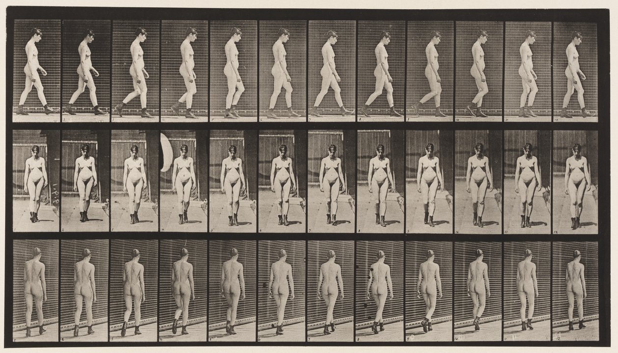 Plaat 22. Wandelen, met hoge hakken aan, 1872-1885 door Eadweard Muybridge