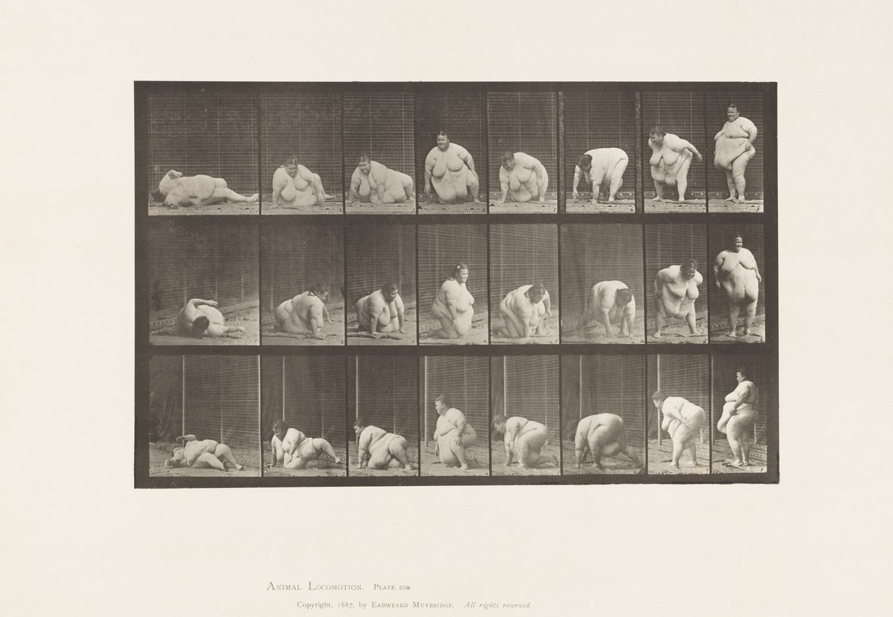 Opstaan van de Grond, 1885 door Eadweard Muybridge