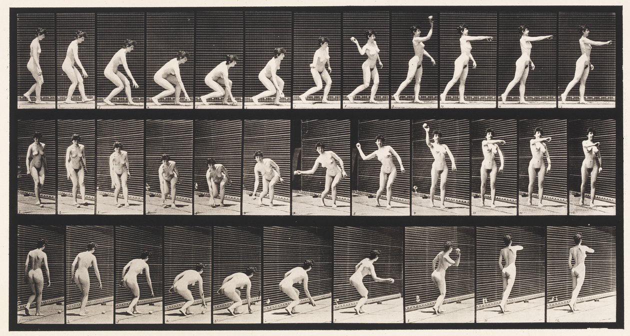 Een Bal Oppakken en Gooien door Eadweard Muybridge