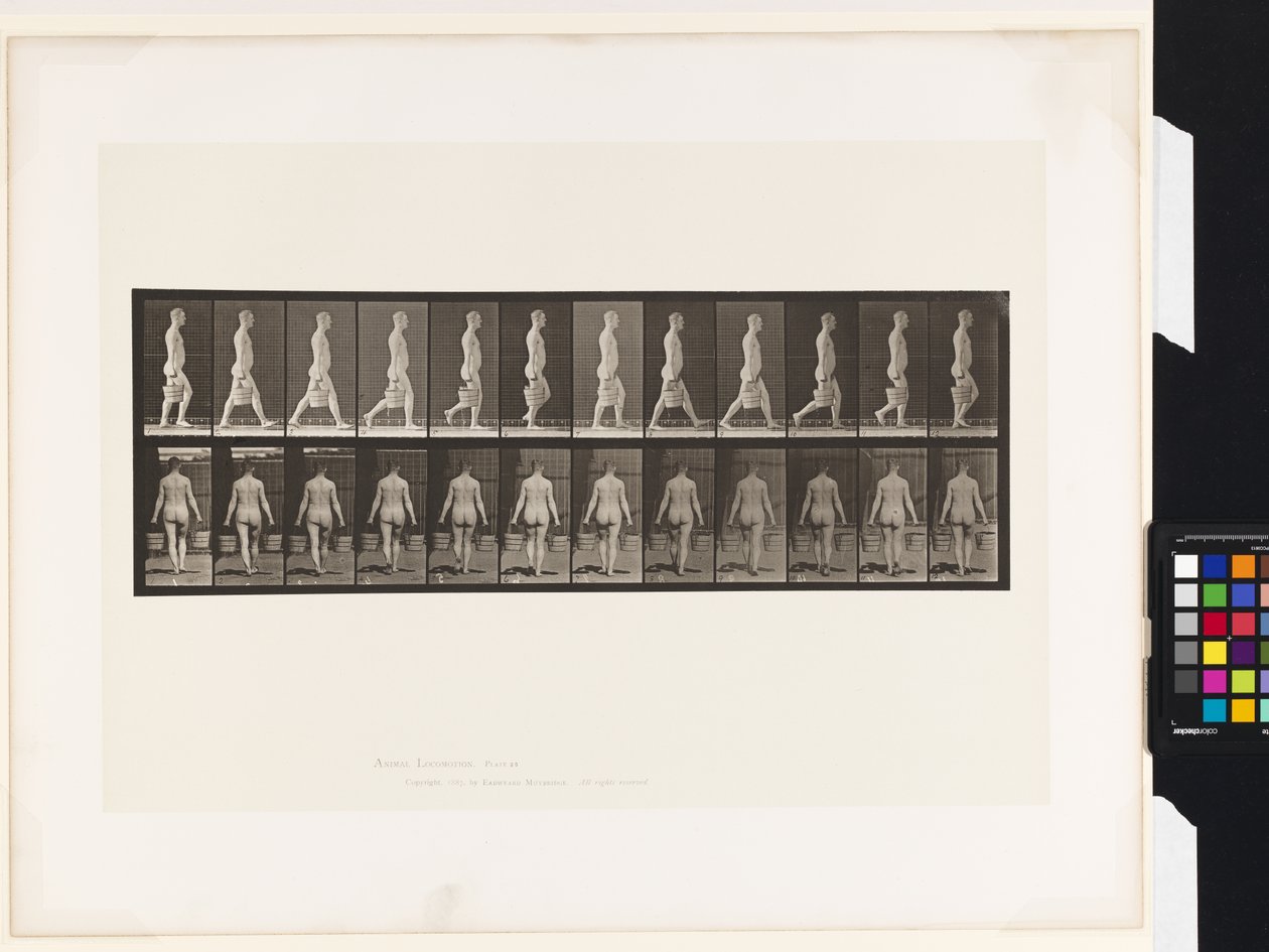 Plaat 30. Lopen, emmer water in elke hand dragen door Eadweard Muybridge