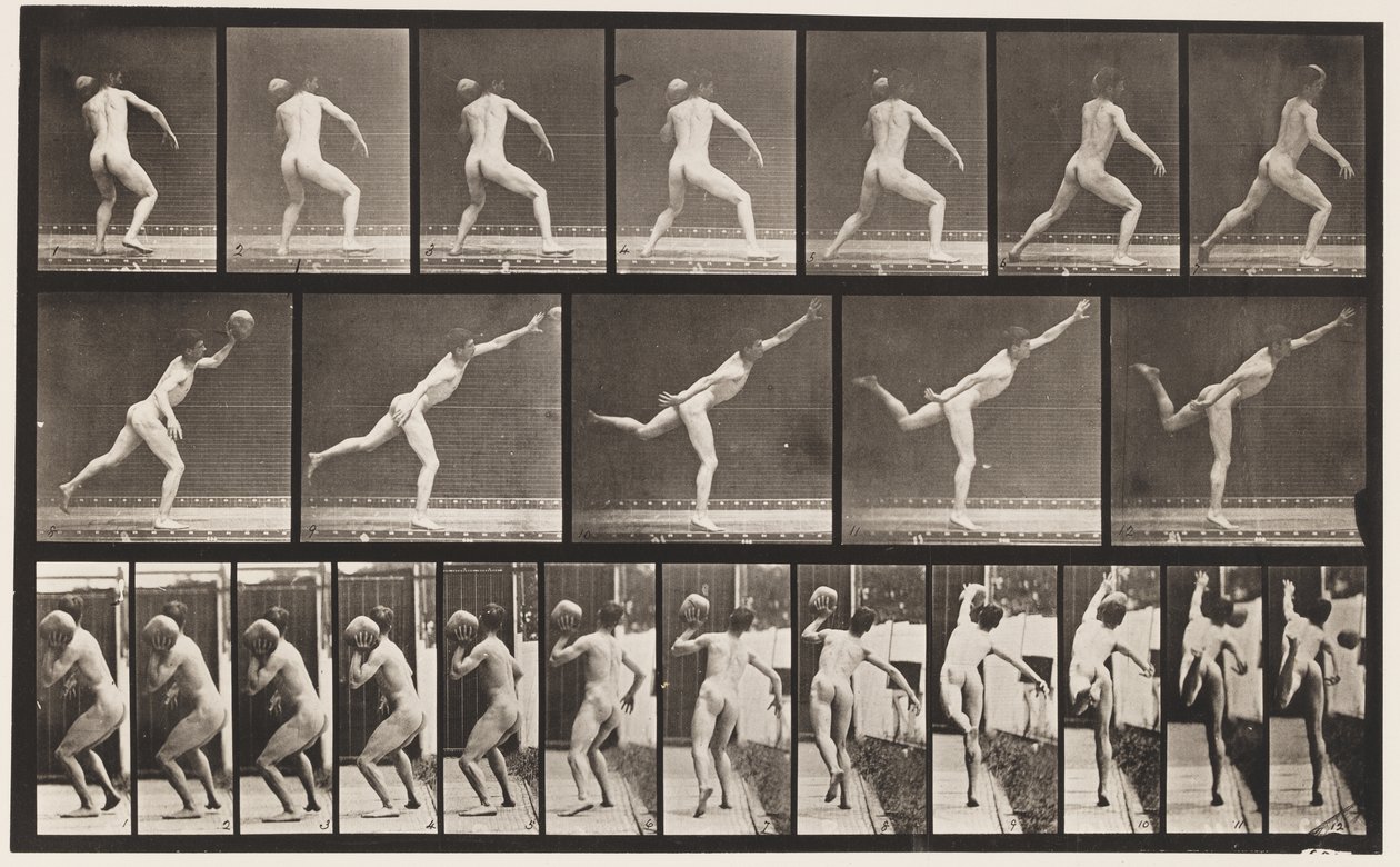 Plaat 316. Een 20-ponds rots heffen, 1885 door Eadweard Muybridge