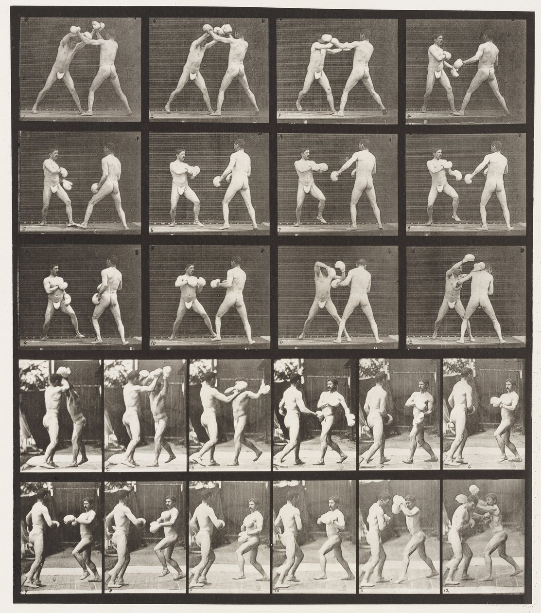 Plaat 334. Boksen; Met handschoenen door Eadweard Muybridge