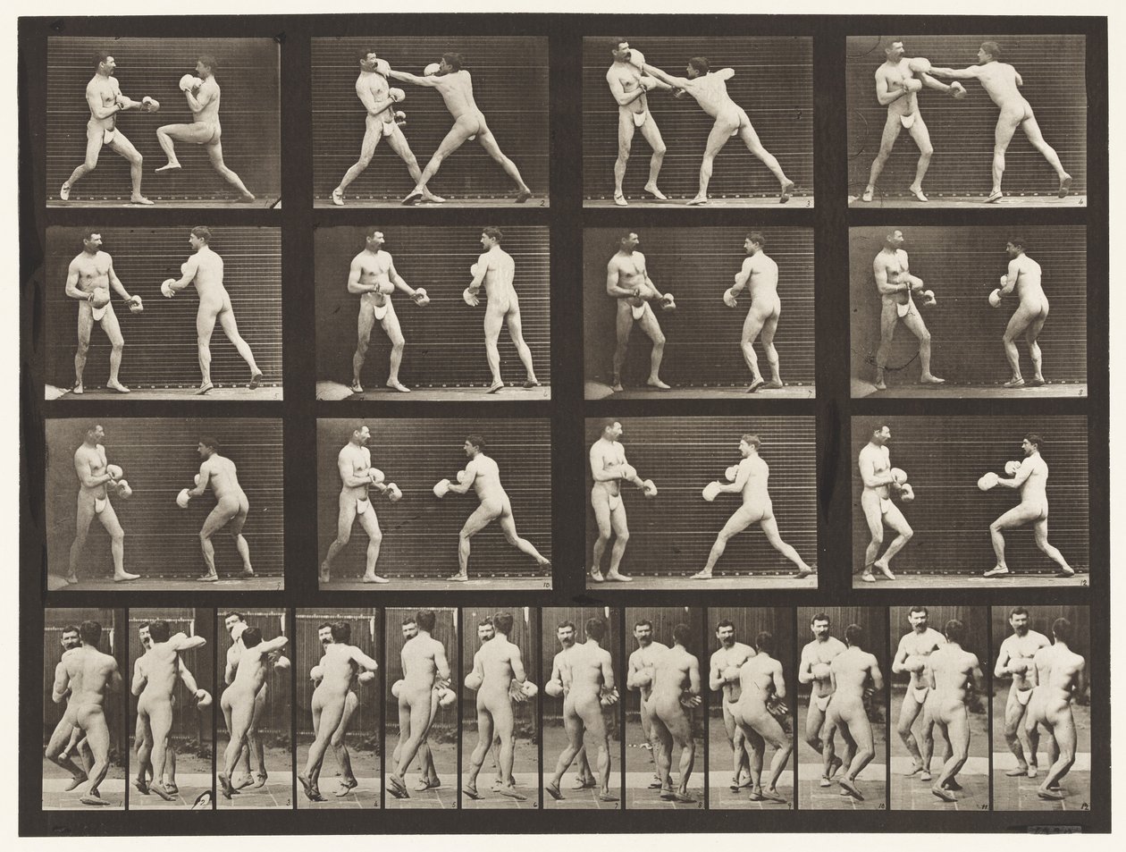Boksen; Met Handschoenen door Eadweard Muybridge