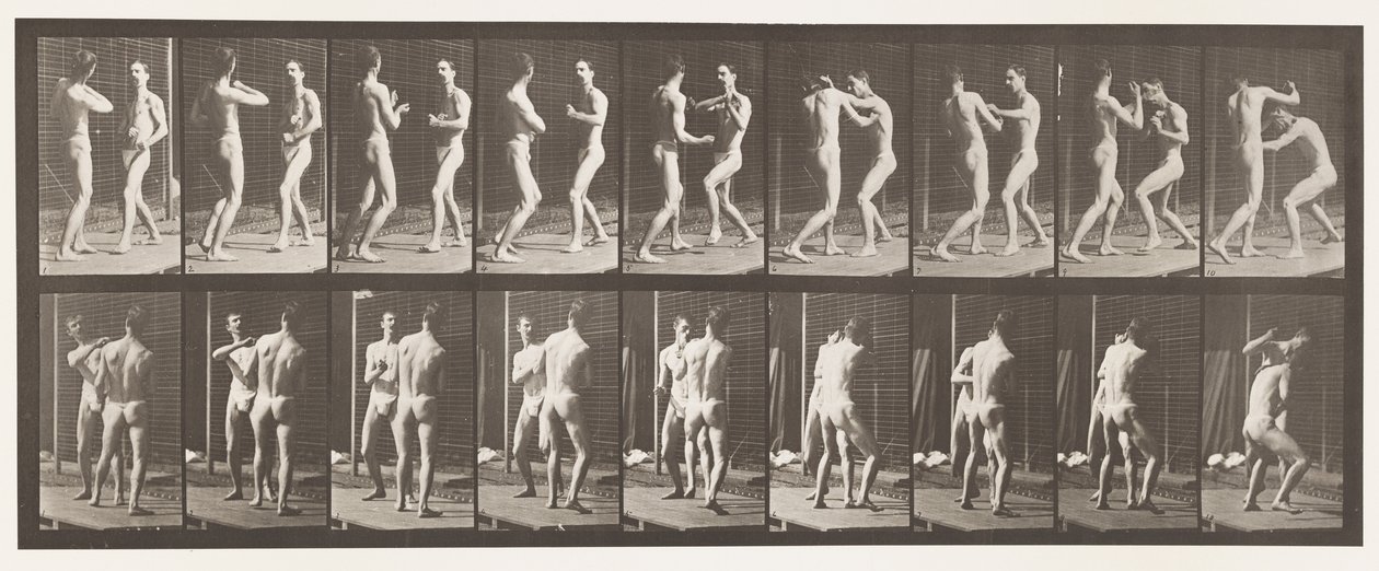 Boksen; Open Hand door Eadweard Muybridge