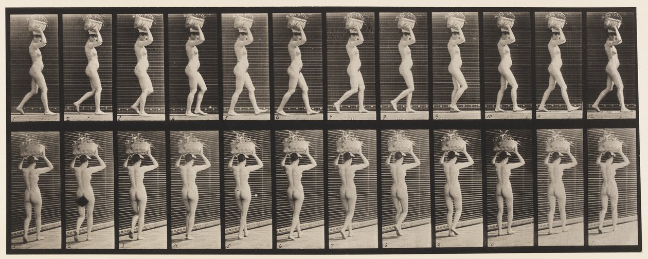 Plaat 33. Wandelen, 14-lb. mand op hoofd, handen omhoog, 1872-1885 door Eadweard Muybridge