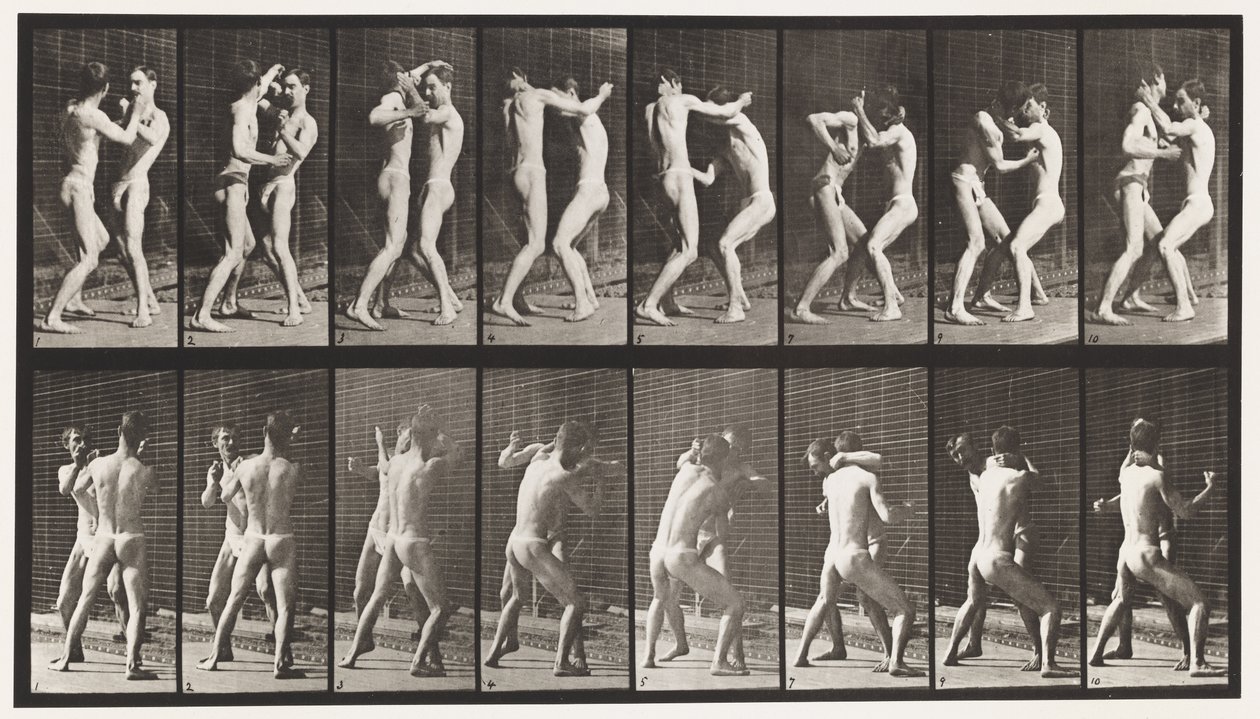 Plaat 341. Boksen; Open Hand door Eadweard Muybridge