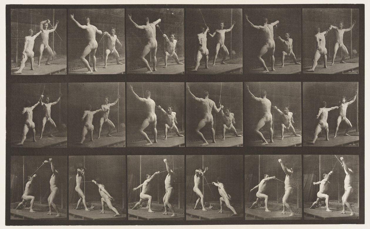 Plaat 350. Schermen door Eadweard Muybridge