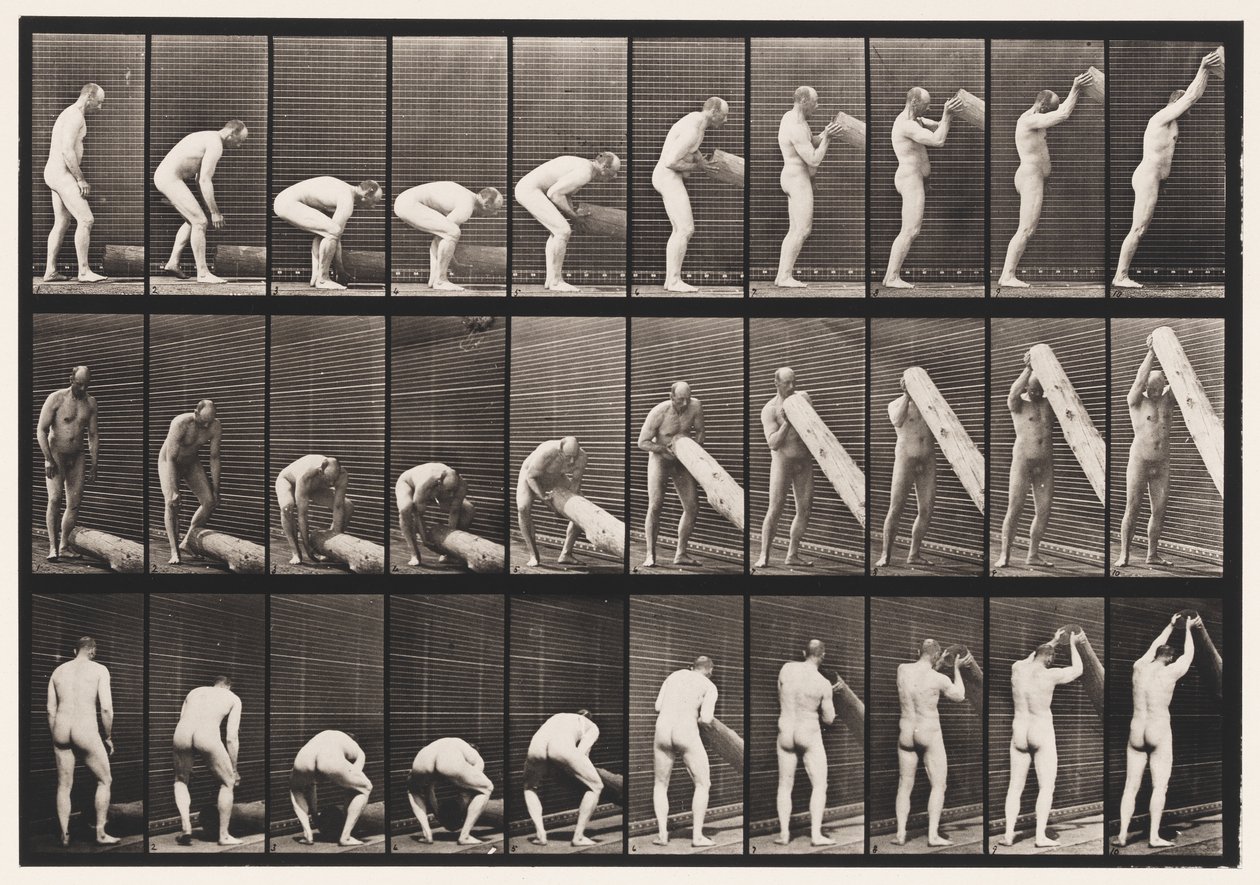 Plaat 382. Een boomstam rechtop zetten, 1872-1885 door Eadweard Muybridge