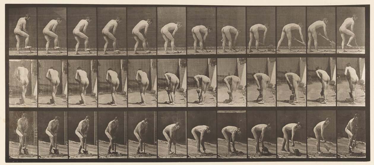 Boer, gebruikt een spade door Eadweard Muybridge