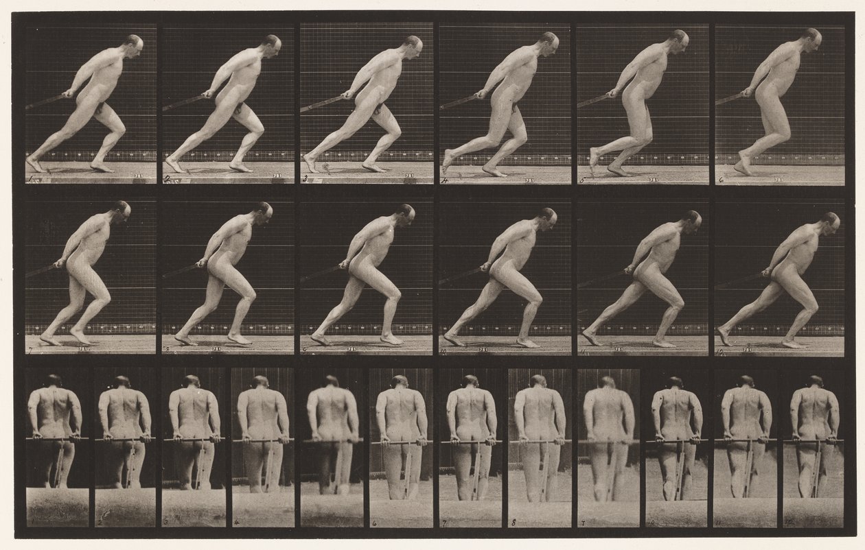Een tuinwals slepen door Eadweard Muybridge