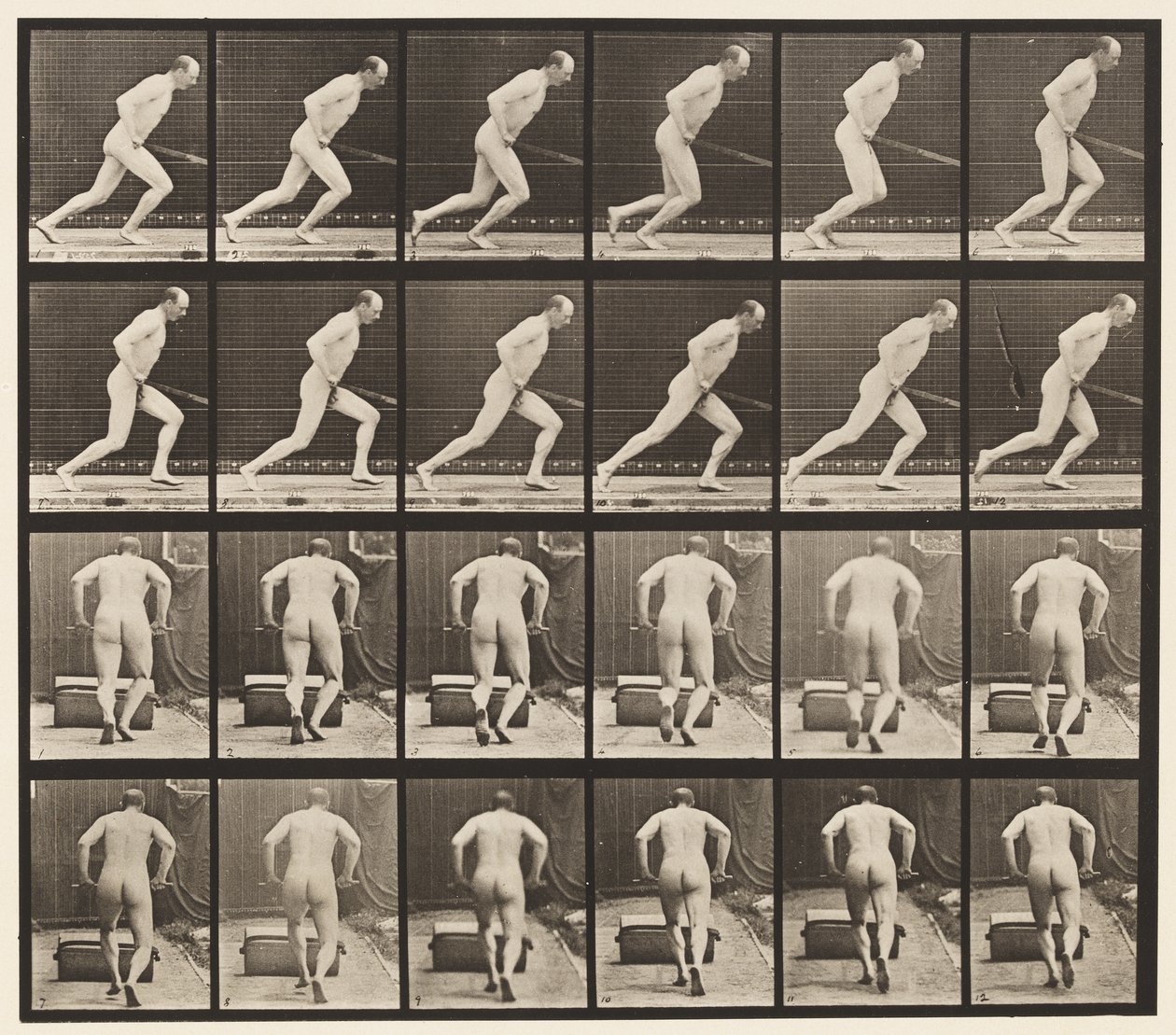 Duwen van een tuinwals door Eadweard Muybridge