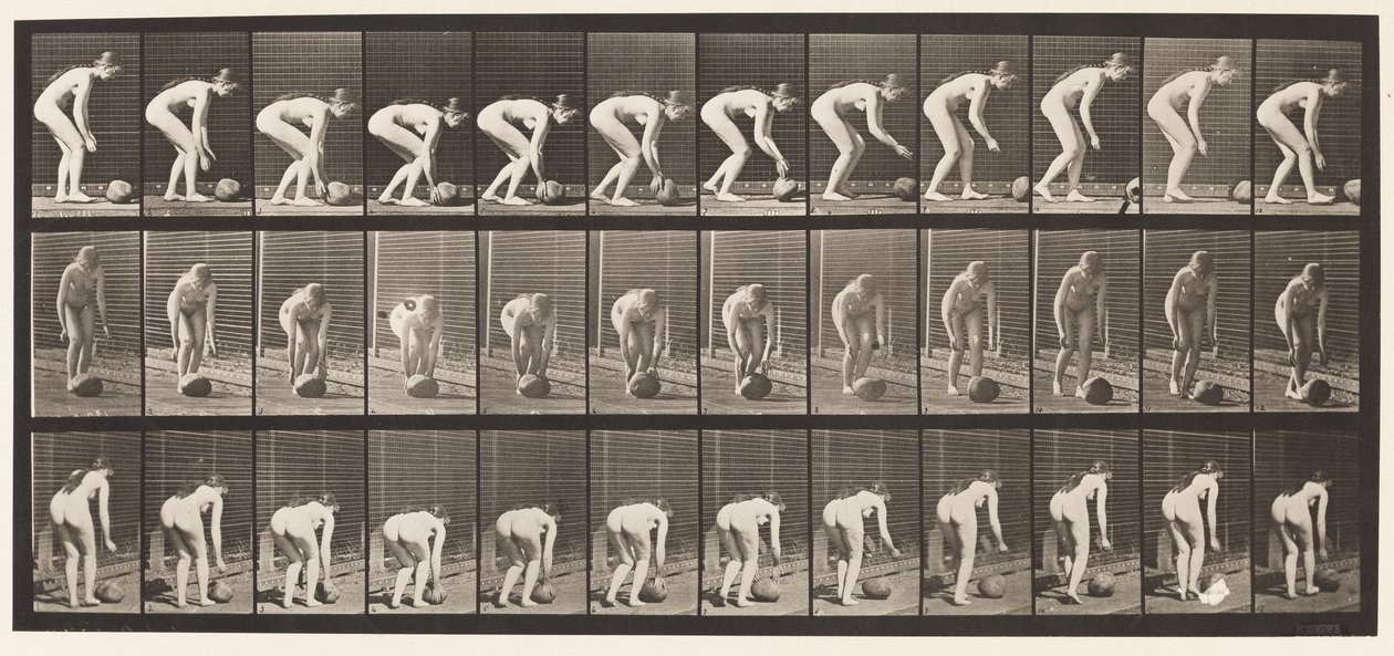 Plaat 442. Bukken en een steen over de grond rollen door Eadweard Muybridge