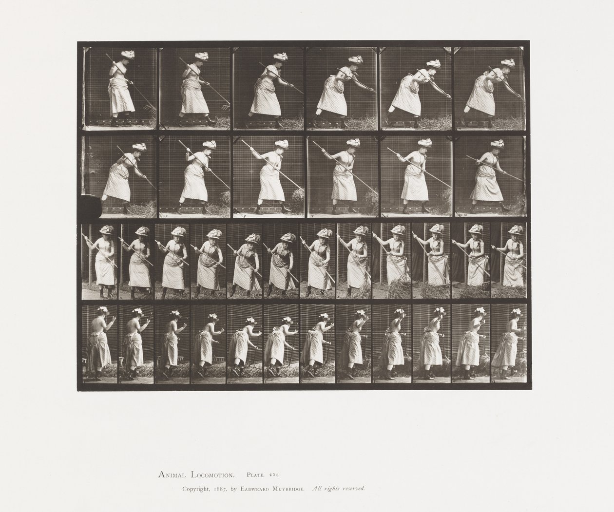 Hooi Harken door Eadweard Muybridge